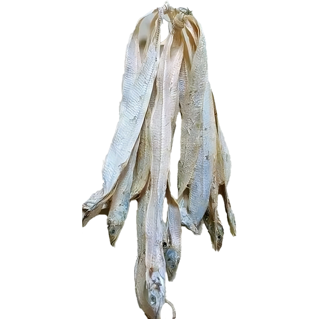 dry ribbon fish exporter in India