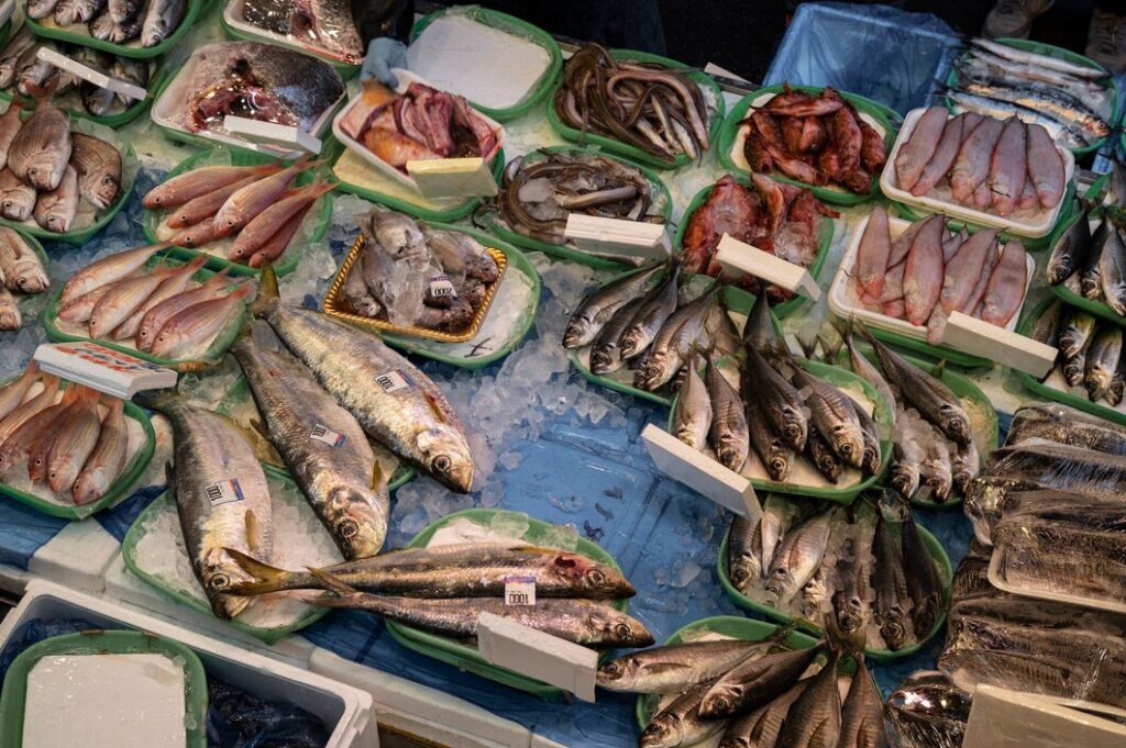 Types of Dry Fish